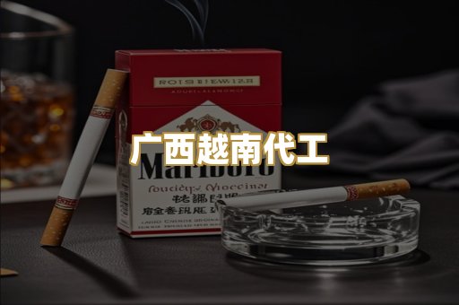 广西越南代工